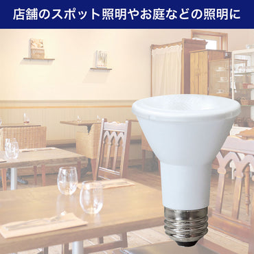 LED電球 ビーム球形 E26 620ルーメン 昼光色 防水_LDR6D-W-G058_ELPA(エルパ・朝日電器)