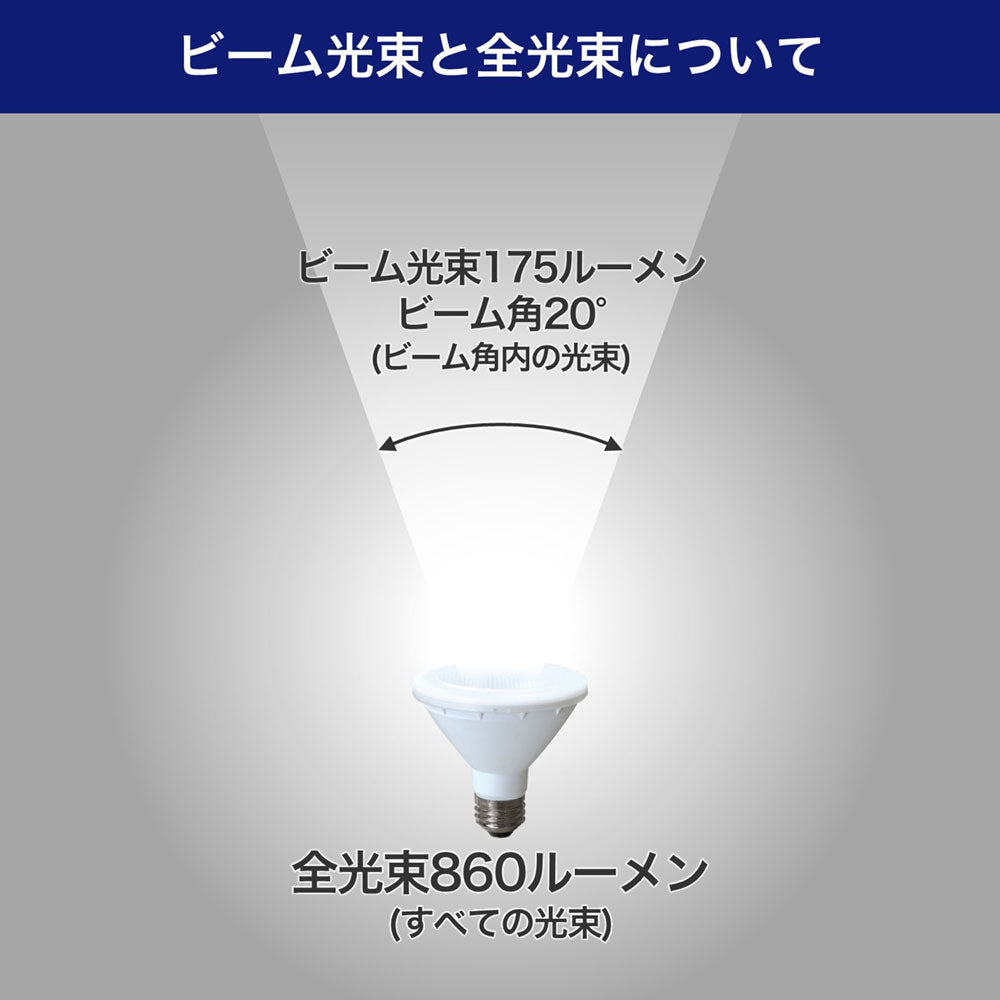LED電球 ビーム球形 E26 860ルーメン 昼光色 防水_LDR8D-M-G060_ELPA(エルパ・朝日電器)