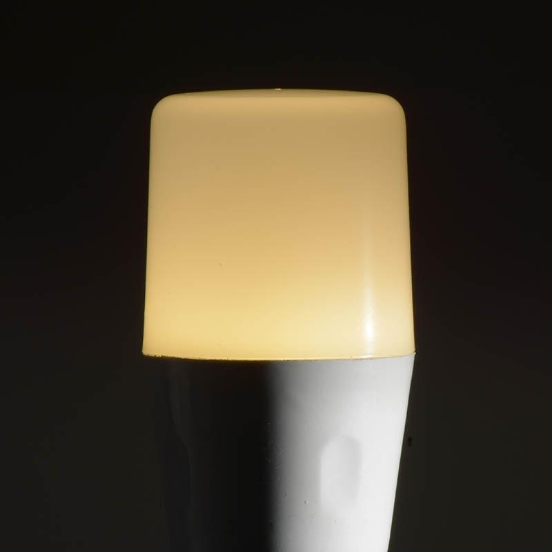 LED電球 T形(60形相当/900lm/電球色/E26/全方向配光255°/密閉形器具対応)_06-3607_LDT7L-G AG20_OHM(オーム電機)