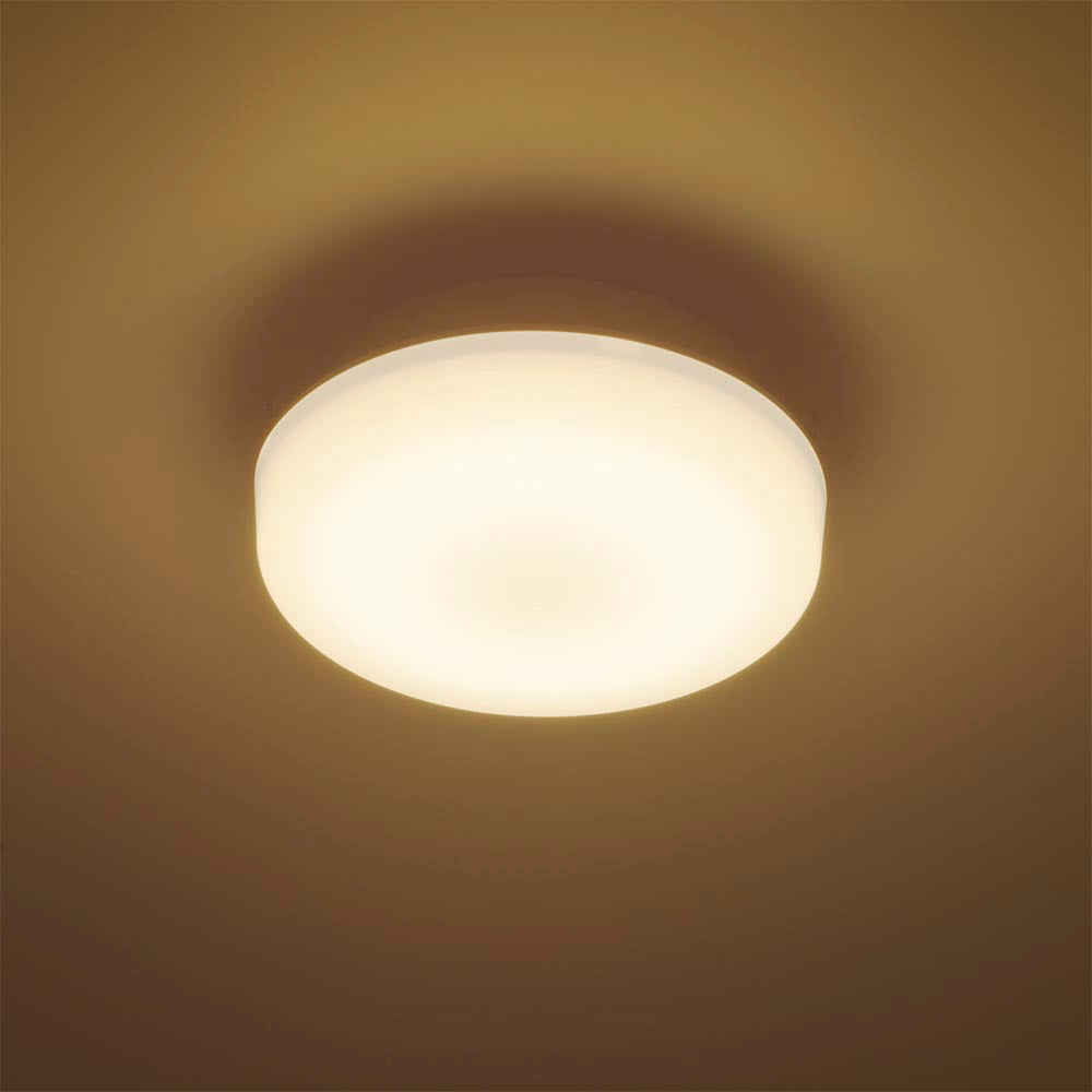 LEDミニシーリングライト (ボール球60形相当/820 lm/7.6W/電球色)_06-5060_LE-Y7B-WL_OHM(オーム電機)