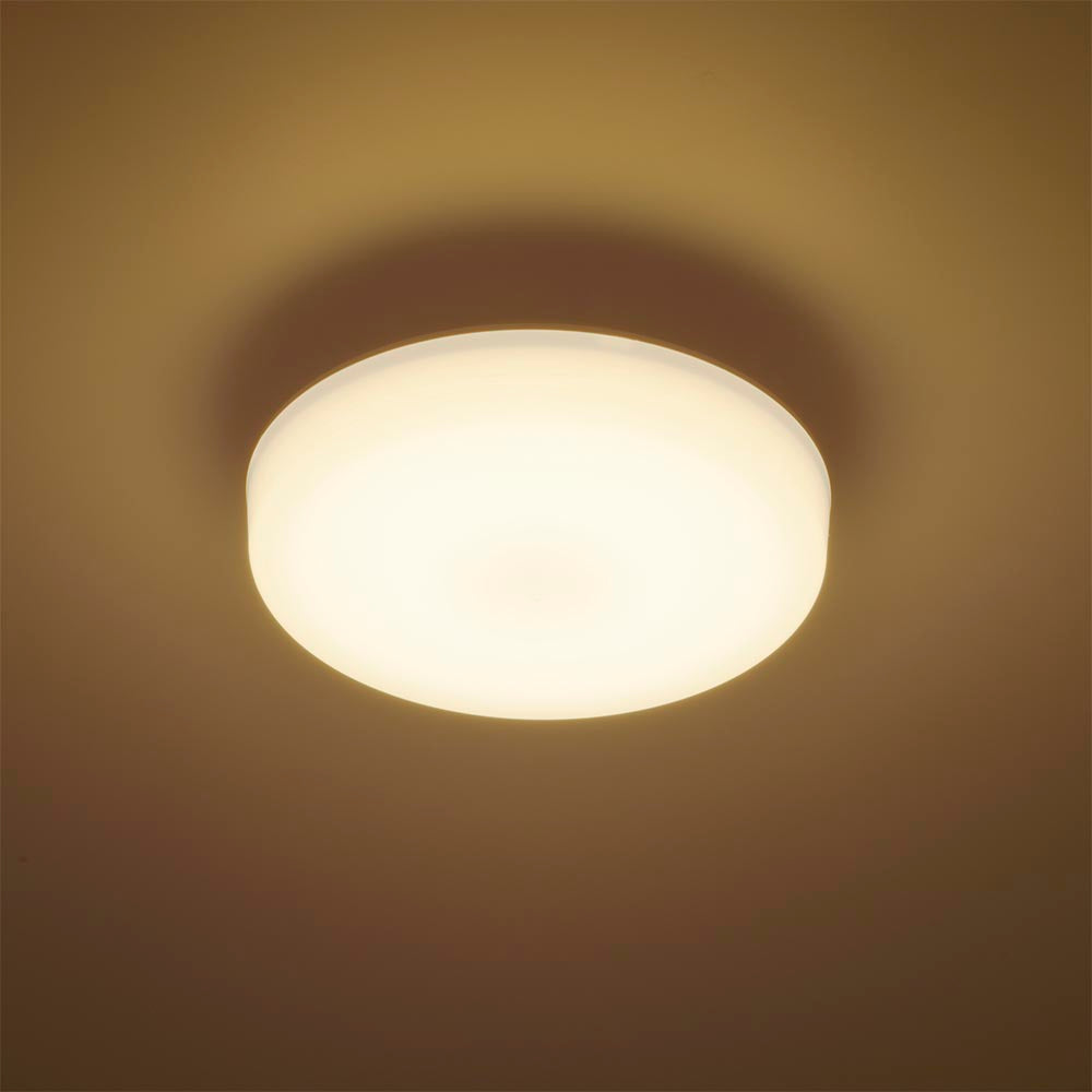LEDミニシーリングライト (ボール球100形相当/1580 lm/13.8W/電球色)_06-5062_LE-Y13B-WL_OHM(オーム電機)