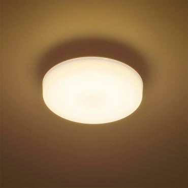LEDミニシーリングライト (ボール球100形相当/1580 lm/13.8W/電球色)_06-5062_LE-Y13B-WL_OHM(オーム電機)