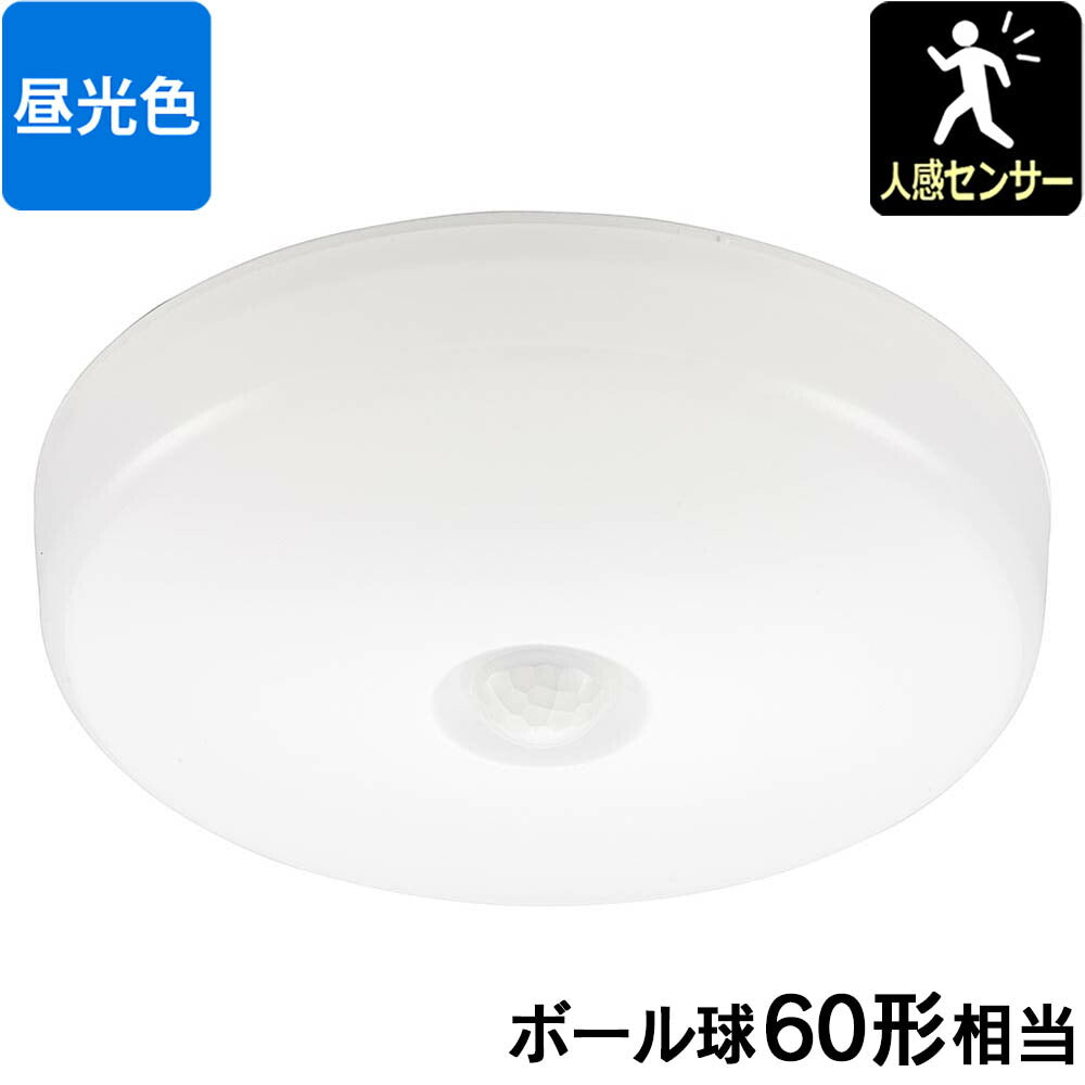 LEDミニシーリングライト (人感センサー付/ボール球60形相当/820 lm/7.6W/昼光色)_06-5064_LE-Y7RB-WD_OHM(オーム電機)