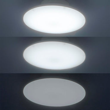 LEDミニシーリングライト (昼光色/2000 lm/18W)_06-5069_LE-Y18B-WD_OHM(オーム電機)
