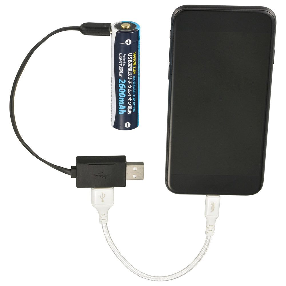 USB充電式リチウムイオン電池(18650形/2600mAh/Type-C/モバイルバッテリー機能)_08-1312_BTJ-1865026-LIT_OHM(オーム電機)