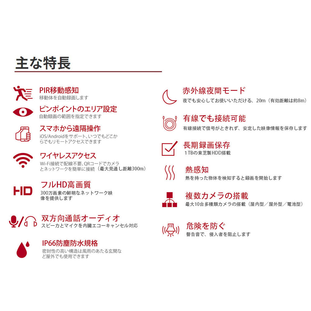 Wi-Fiネットワークカメラ10局専用レコーダー+屋外IPカメラ(2台)セット JA-K6510-PO1031-W (D)_水鏡 JUAN CLOUD