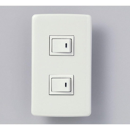 エレガント片切スイッチ×2_B-1955H_1955000_ELPA(エルパ・朝日電器)