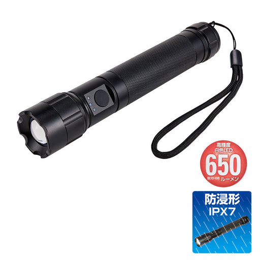 LEDアルミハンドライト 650ルーメン 単4形乾電池6本 集光・散光 防浸形(IPX7) DOP-EP560_ELPA(エルパ・朝日電器)