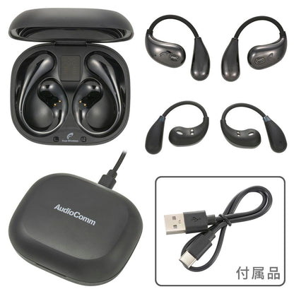 完全ワイヤレスホン（イヤーフック型/通話対応/Type-C接続/最大連続再生4.5時間/保護等級IPX5/ブラック）_03-3193_HP-W610N-K_OHM（オーム電機）