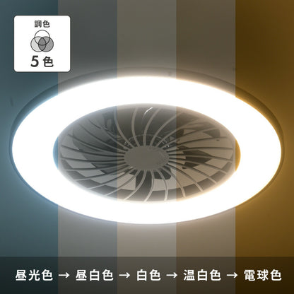 ファン付きLEDシーリングライト（12畳/調光5段階/調色5色/風量6段階/黒）_06-5249_LE-YF49T12Y-K_OHM（オーム電機）