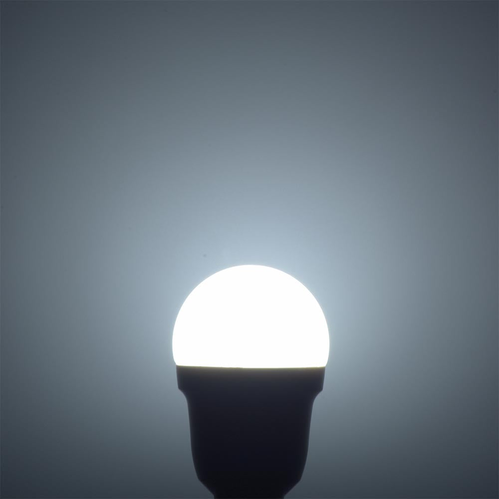 LED電球 小形（40形相当/昼光色/530 lm/3.9W/E17/Ra83/広配光200°/密閉形器具対応/断熱材施工器具対応/2個入）_06-5480_LDA4D-G-E17 IS53 2P_OHM（オーム電機）