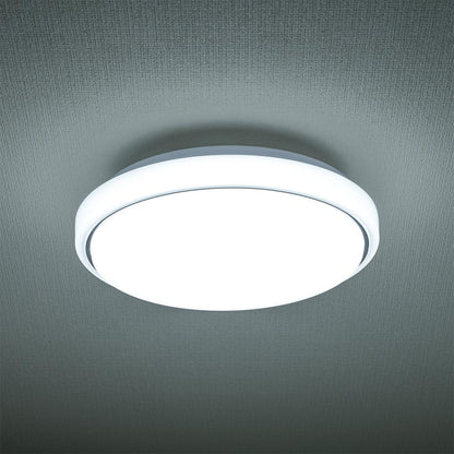LED内玄関灯（直径300mm/2300 lm/昼光色/18W）_06-5569_LT-Y18D-GB_OHM（オーム電機）