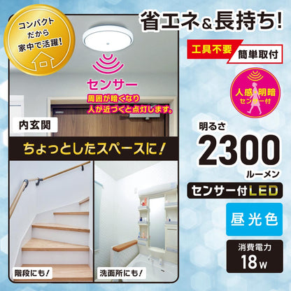 LED内玄関灯（人感・明暗センサー付/直径300mm/2300 lm/昼光色/18W）_06-5570_LT-Y18D-GB-PIR_OHM（オーム電機）