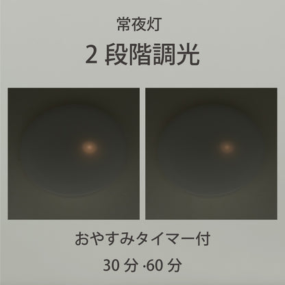 LEDシーリングライト（6畳用/直径40cm/調光5段階/昼光色/3300 lm/23W）_06-5975_LE-YH23D6Y-W40_OHM（オーム電機）