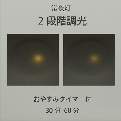 LEDシーリングライト（12畳用/直径40cm/調光5段階/調色5段階/5100 lm/38W）_06-5980_LE-YH38T12Y-W40_OHM（オーム電機）