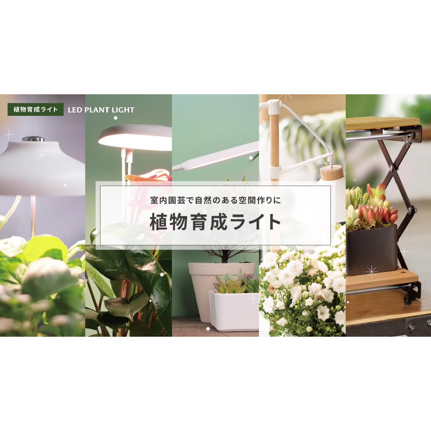 植物育成ライト（白色LED/ Ra95/5段階調光/14W/660 lm/オートタイマー機能/タイマー3段階）_06-5241_TT-YG05N1A-M_OHM（オーム電機）