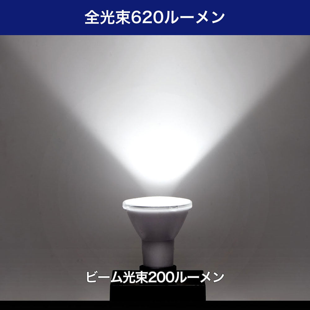 LED電球 ビーム球形 E26 620ルーメン 昼光色 防水_LDR6D-W-G058_ELPA（エルパ・朝日電器）