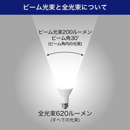 LED電球 ビーム球形 E26 620ルーメン 昼光色 防水_LDR6D-W-G058_ELPA（エルパ・朝日電器）