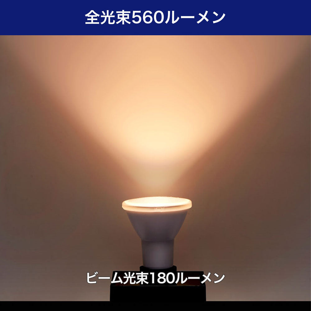 LED電球 ビーム球形 E26 560ルーメン 電球色 防水_LDR6L-W-G059_ELPA（エルパ・朝日電器）
