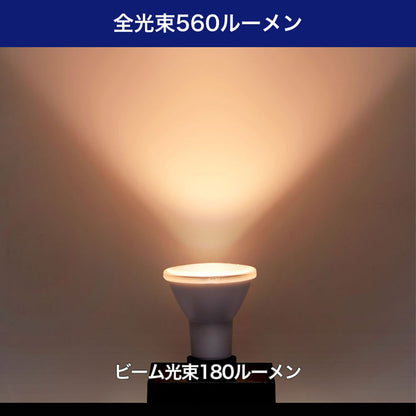 LED電球 ビーム球形 E26 560ルーメン 電球色 防水_LDR6L-W-G059_ELPA（エルパ・朝日電器）