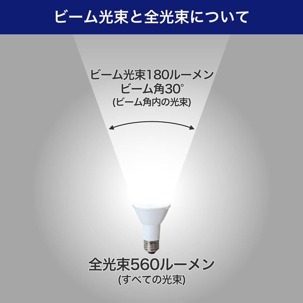 LED電球 ビーム球形 E26 560ルーメン 電球色 防水_LDR6L-W-G059_ELPA（エルパ・朝日電器）