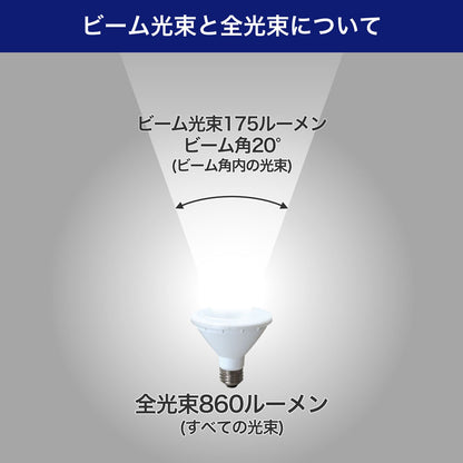 LED電球 ビーム球形 E26 860ルーメン 昼光色 防水_LDR8D-M-G060_ELPA（エルパ・朝日電器）