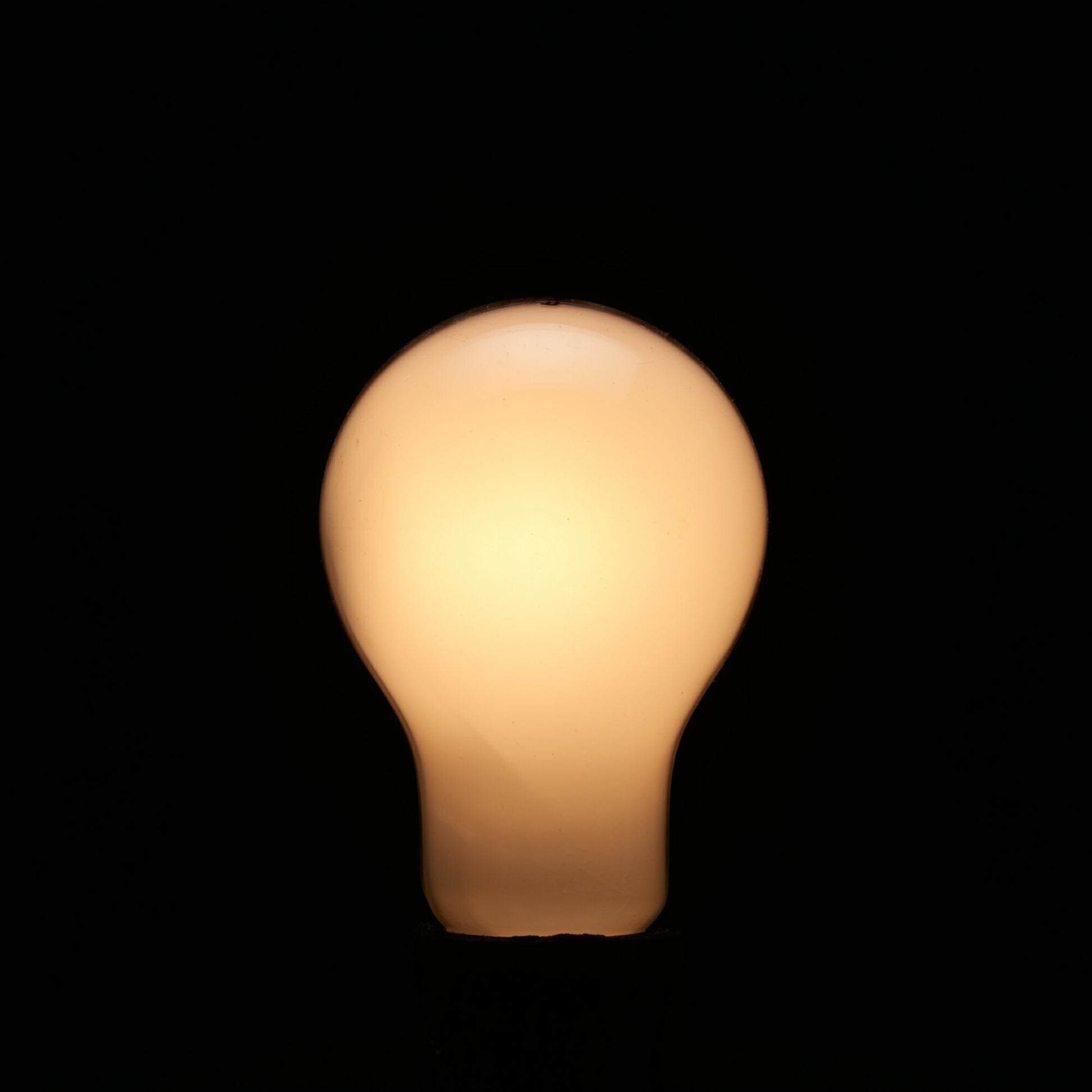 ヤザワ シリカ電球 長寿命タイプ 100W形 100V E26口金 LW100V100WWL_YAZAWA(ヤザワコーポレーション）