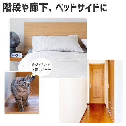 LEDセンサー付ライト 乾電池式 フラット人感センサー PM-LF005PIR(W)_ELPA（エルパ・朝日電器）