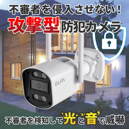 防犯士が作ったスゴイ防犯カメラ 屋外用 バレット形カメラ AC電源_TBC-SC300_ELPA（エルパ・朝日電器）