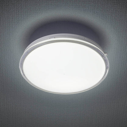 薄形LEDミニシーリングライト（ボール球100形相当/1350 lm/13.0W/昼光色）_06-3954_LE-Y13DK-WS_OHM（オーム電機）