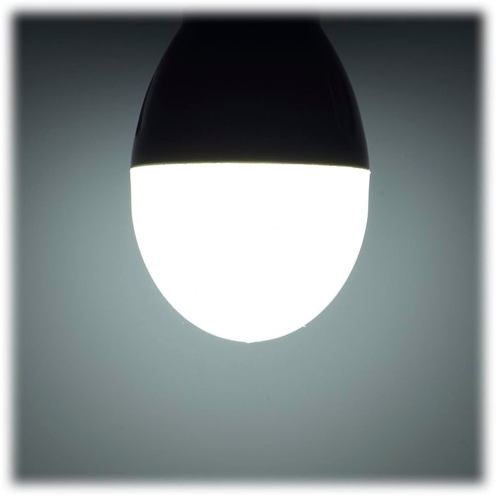 LED電球 小形（40形相当/520 lm/4.4W/昼光色/E17/広配光195°/密閉器具対応/断熱材施工器具対応/2個入）_06-4810_LDA4D-G-E17 IH23 2P_OHM（オーム電機）