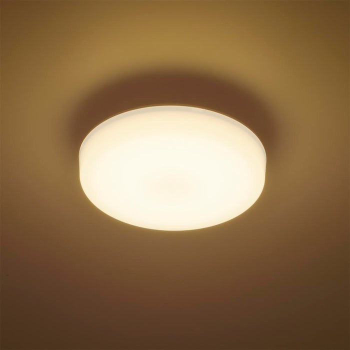 LEDミニシーリングライト （ボール球100形相当/1580 lm/13.8W/電球色）_06-5062_LE-Y13B-WL_OHM（オーム電機）