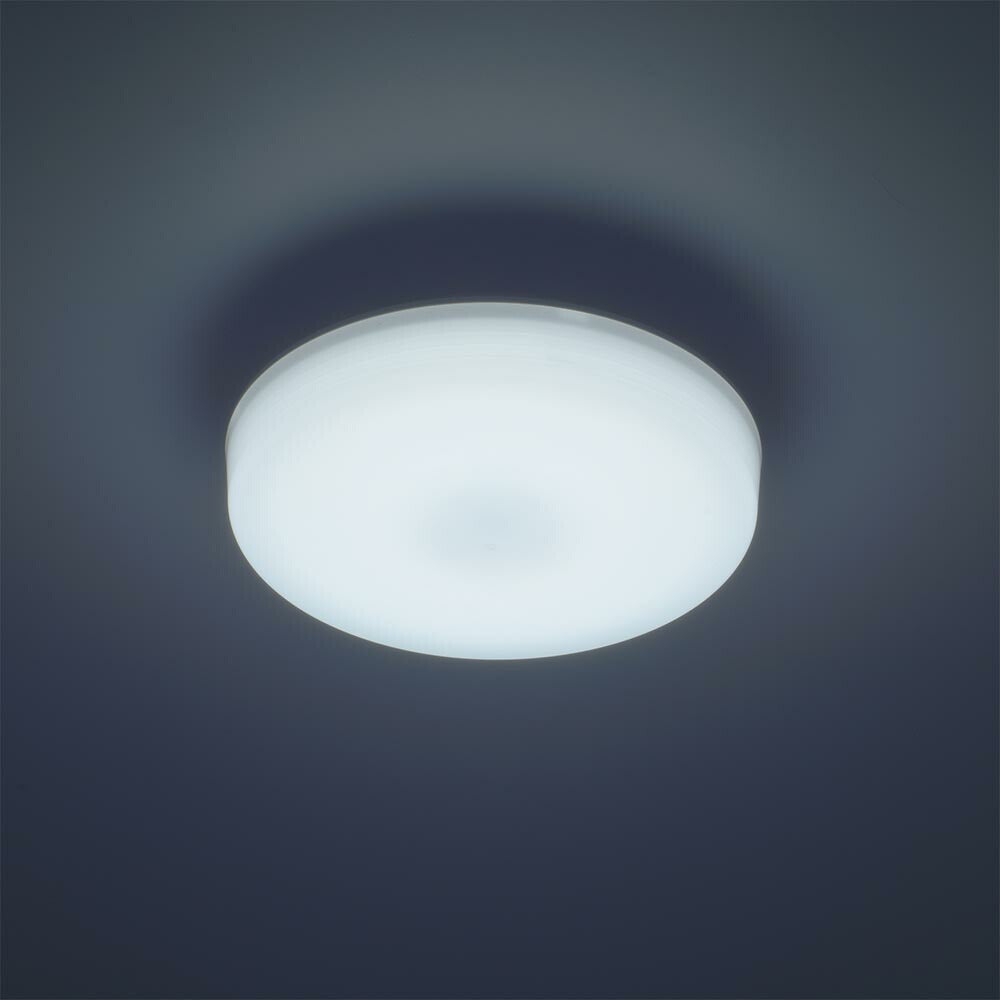 LEDミニシーリングライト （ボール球100形相当/1650 lm/13.8W/昼光色）_06-5063_LE-Y13B-WD_OHM（オーム電機）