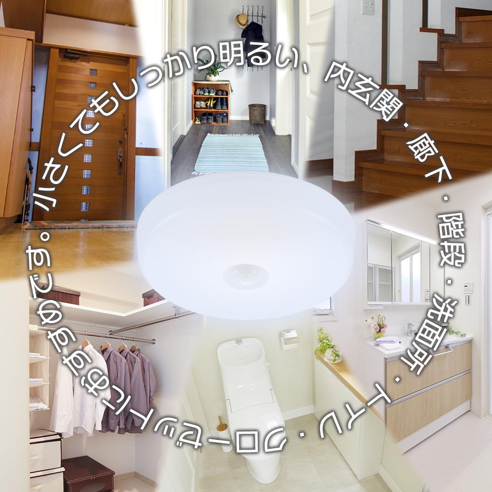 LEDミニシーリングライト （人感センサー付/ボール球60形相当/820 lm/7.6W/昼光色）_06-5064_LE-Y7RB-WD_OHM（オーム電機）