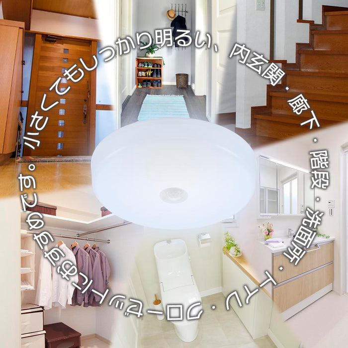 LEDミニシーリングライト （人感センサー付/ボール球100形相当/1650 lm/13.8W/昼光色）_06-5065_LE-Y13RB-WD_OHM（オーム電機）